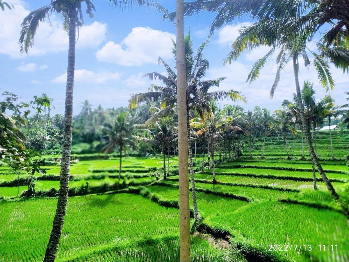Green Haven Homestay Tetebatu Exterior photo